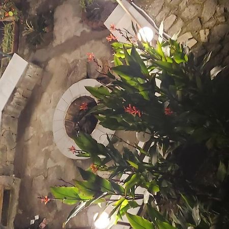 Kasauli Cascade A Cheerfull 4 Bedroom Challet エクステリア 写真