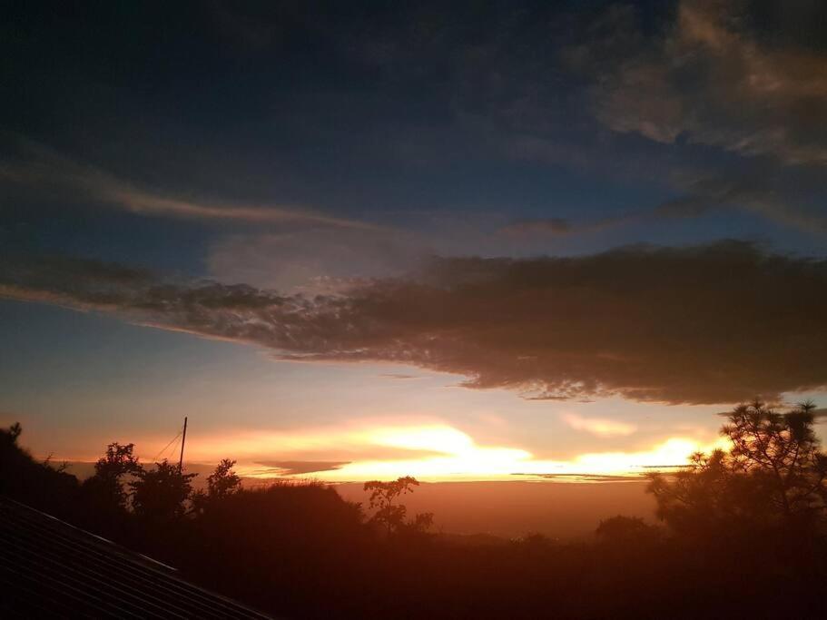 Kasauli Cascade A Cheerfull 4 Bedroom Challet エクステリア 写真