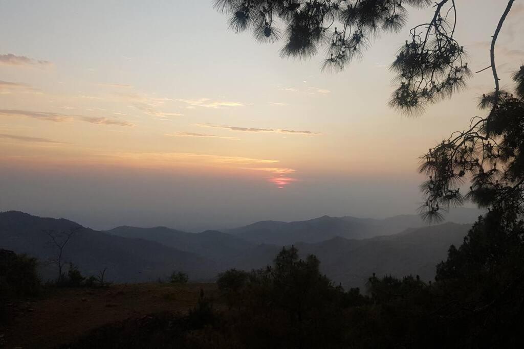 Kasauli Cascade A Cheerfull 4 Bedroom Challet エクステリア 写真