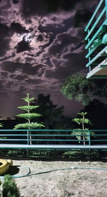 Kasauli Cascade A Cheerfull 4 Bedroom Challet エクステリア 写真