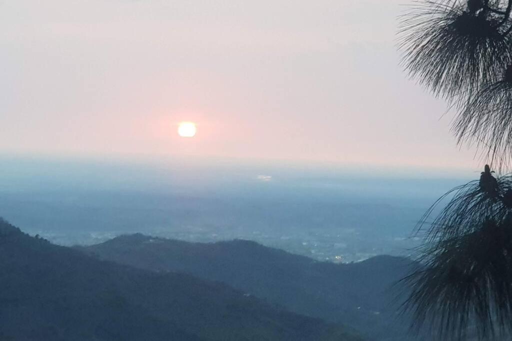 Kasauli Cascade A Cheerfull 4 Bedroom Challet エクステリア 写真