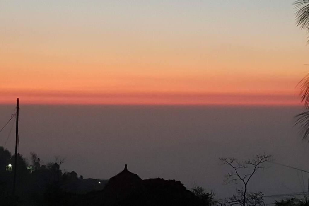 Kasauli Cascade A Cheerfull 4 Bedroom Challet エクステリア 写真