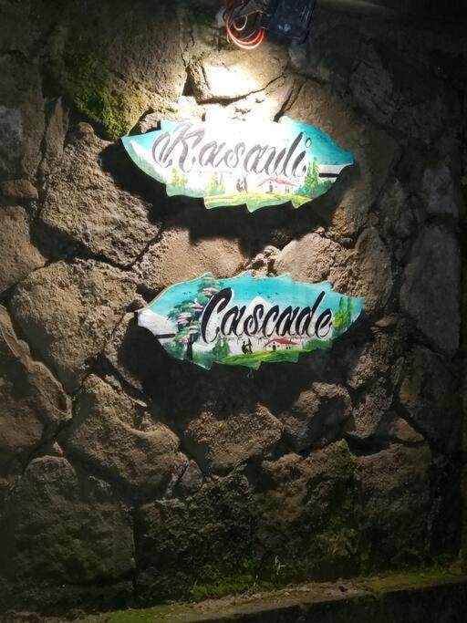 Kasauli Cascade A Cheerfull 4 Bedroom Challet エクステリア 写真