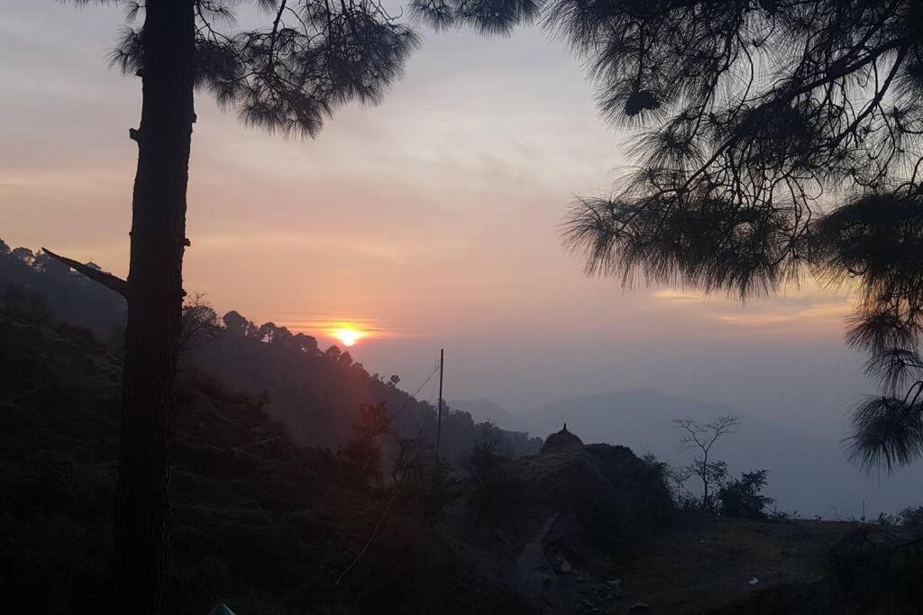 Kasauli Cascade A Cheerfull 4 Bedroom Challet エクステリア 写真