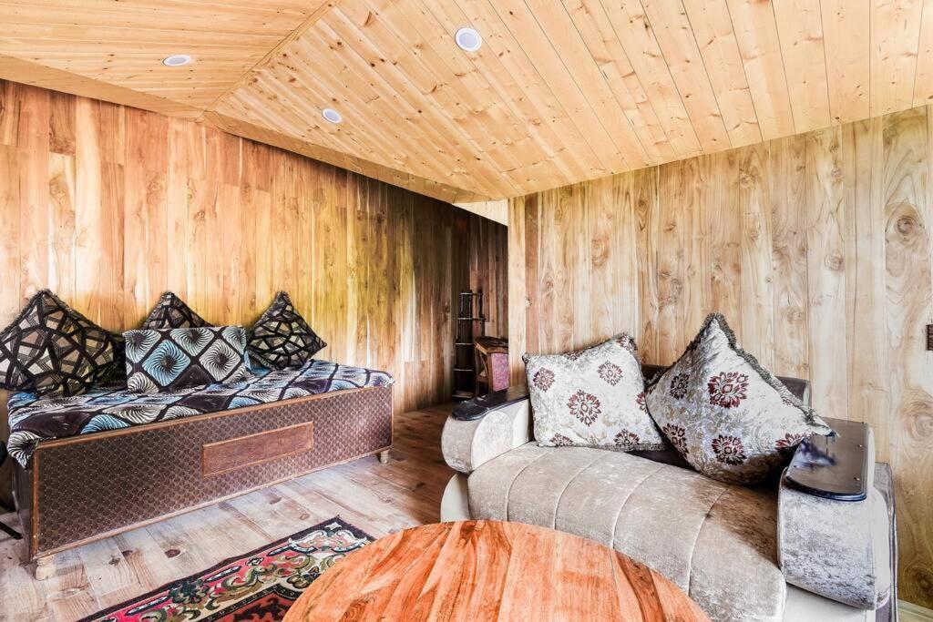 Kasauli Cascade A Cheerfull 4 Bedroom Challet エクステリア 写真