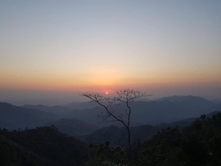 Kasauli Cascade A Cheerfull 4 Bedroom Challet エクステリア 写真