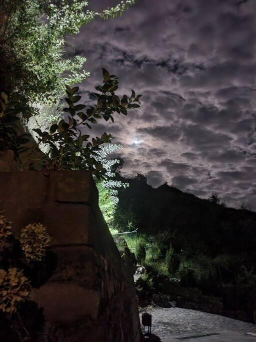 Kasauli Cascade A Cheerfull 4 Bedroom Challet エクステリア 写真