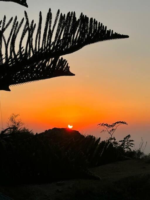 Kasauli Cascade A Cheerfull 4 Bedroom Challet エクステリア 写真