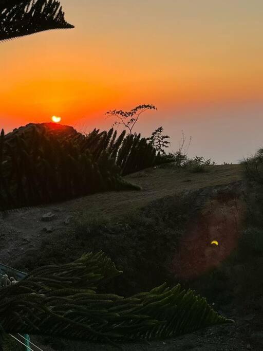 Kasauli Cascade A Cheerfull 4 Bedroom Challet エクステリア 写真